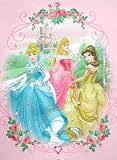 Disney Princess Plush raschel Throw Blanket - Princess Glow
