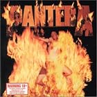Reinventing the Steel by Pantera
