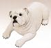 Bulldog Puppy Life Size K-9 Kreations Statue (White)
