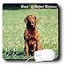 All Products : Dogs Chesapeake Bay Retriever - Chesapeake Bay Retriever - Mouse Pads