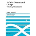 Infinite Dimensional Groups with Applications (Mathematical Sciences Research Institute Publications) (v. 4) by Victor Kac