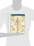 Nervous System (Quickstudy: Academic)