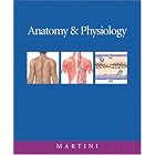 Anatomy and Physiology and InterActive Physiology 8-System Suite CD-ROM Plus Access to... by Frederic H. Martini