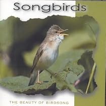 Songbirds: the Beauty of Birdsong