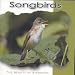 Songbirds: the Beauty of Birdsong