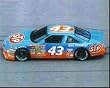 Richard Petty NASCAR Auto Racing 8x10 Photograph C