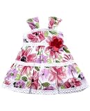 Baby Nay Brush Floral Lace Voile Dress
