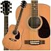 Carlo Robelli CDG100 Acoustic Guitar