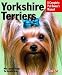 yorkshire_terrier12yorkshire terrier - YORKSHIRE TERRIERS REVISED
