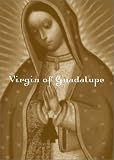 Pocket Saints Virgin of Gudalupe: Boxed (Portable Protectors)