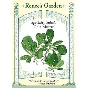 Mache Gala Seeds