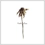 Wooden Arms von Patrick Watson