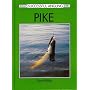 Pike (Beekay's successful angling series)