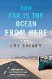How Far Is the Ocean from Here: A Novel