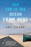 How Far Is the Ocean from Here: A Novel