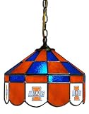 14 Executive Swag Hanging Lamp Light University of Illinois Fighting Illini - Free Shipping