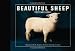 Beautiful Sheep Postcard Book (Beautiful... Postcard Books)