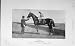 1905 Antique Portrait Cicero Horse Racing Derby Earl