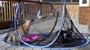 Outdoor Feline Funhouse