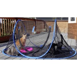 Outdoor Feline Funhouse by Wildwhiskers