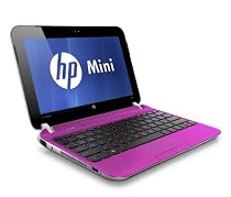 Hewlett Packard 210-3060CA 10.1-Inch NetBook LCD (Sweet Purple)