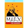 Marx for Beginners