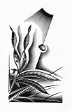 SEED AND SUN poster print. Paul Landacre, wood engraving from the book FLOWERING EARTH, 1939. (Print measures 11x17 inches).