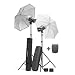 Elinchrom D-Lite 2 / 4 it To Go Set