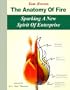 The Anatomy Of Fire - Sparking A New Spirit Of Enterprise -- Leadership In The 21st Century