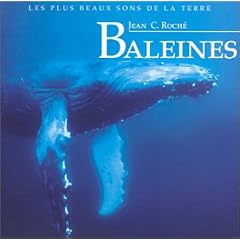 Baleines