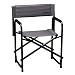 Sporting Goods : Coleman Captain’s Chair - Gray
