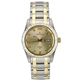 Sartego Mens Watch with Crystal Champagne Dial Automatic Stainless and Gold Plated