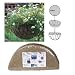 1 Pac Kenaf Liner for a 20 Wire Hanging Basket