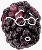 Boysenberry Jam by cmb sweets