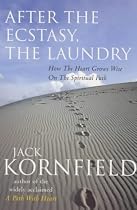 After the Ecstacy, the Laundry