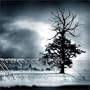 The Winter of Our Discontent
