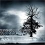The Winter of Our Discontent