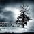 The Winter of Our Discontent
