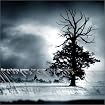 The Winter of Our Discontent
