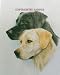 Labrador Retriever - Portrait by Cindy Farmer, Pair