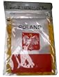 Polish Flag with String and Suction Cap, 4x6 in.