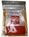 Polish Flag with String and Suction Cap, 4x6 in.