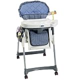 Evenflo Simplicity Wedgewood Highchair