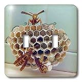 Jos Fauxtographee Realistic - A Bees Nest up Close With Three Bees Working on it with a Mint Colored Backdrop - Light Switch Covers - double toggle switch