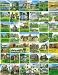 White Mountain Puzzles American Castles and Mansions 1000 Piece Jigsaw Puzzle