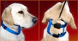 The Illusion Collar and Leash Set - Large Black