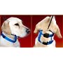 The Illusion Collar and Leash Set - Large Black