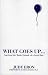 What Goes Up: Surviving the Manic Episode of a Loved One