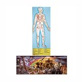 Melissa& Doug Human Body and Noah's Ark 100-pc. Floor Puzzle Bundle