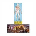 Melissa& Doug Human Body and Noah's Ark 100-pc. Floor Puzzle Bundle